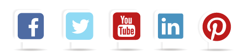 Social Media Management